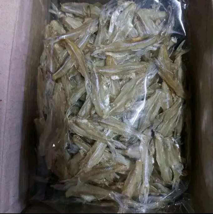 ใส้ตัน ปลาตากปลาแห้ง ไม่เค็ม(รับ9,700แต้ม)