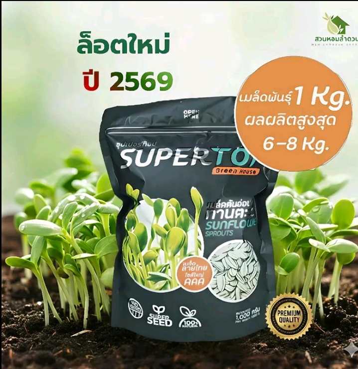 เมล็ดพันธุ์ต้นอ่อนทานตะวันลายไทย1กก.(รับ9,750แต้ม)