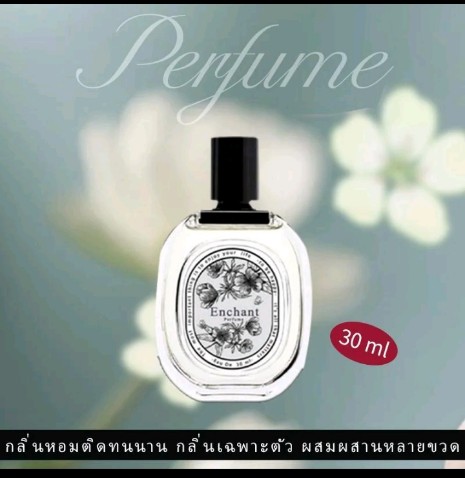 Winni Fred Matteo น้ำหอมผู้หญิง,ผู้ชาย (รับ6,250แต้ม)