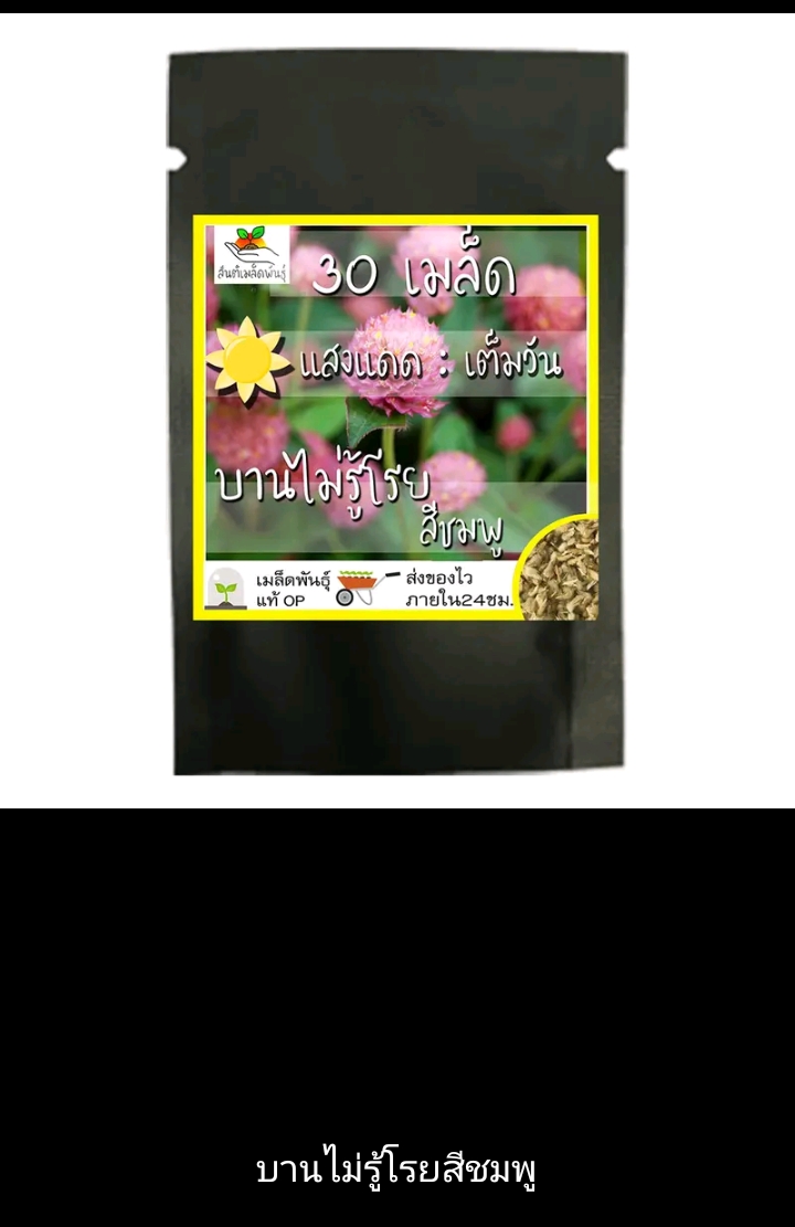 เมล็ดพันธุ์ชุดดอกไม้ปลูกง่ายโตไว บานไม่รู้รวยสีชมพู(รับ6000แต้ม)