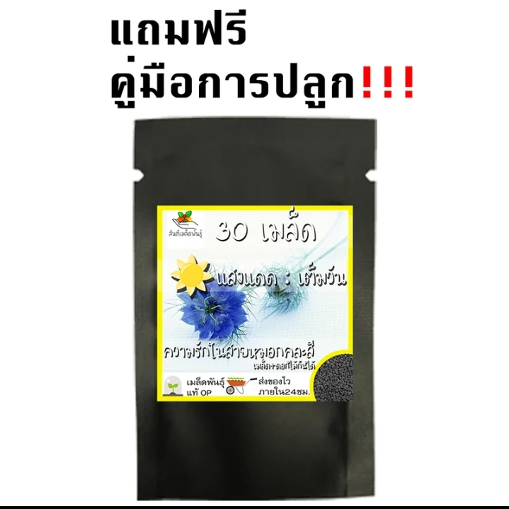 เมล็ดพันธุ์ชุดดอกไม้ปลูกง่ายโตไว ความรักในสายหมอก(รับ6000แต้ม)