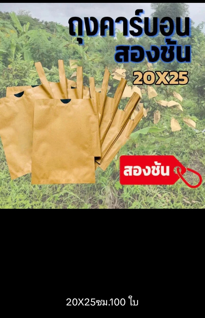 ถุงห่อฝรั่งมะม่วงคาร์บอน 20 * 25เซนติเมตร 100 ใบแพ็ค 2 ชั้นแต่แมลงวันทองป้องกันผลไม้จากศัตรูพืช