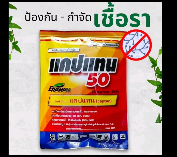 แคปแทน50 ป้องกันเชื้อราในพืชโรคพืชที่เกี่ยวกับเชื้อรา (รับ8500แต้ม)