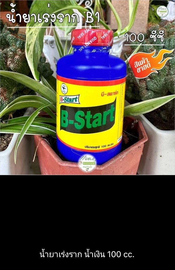 ปุ๋ยน้ำยาเร่งราก b1(รับ7200แต้ม)