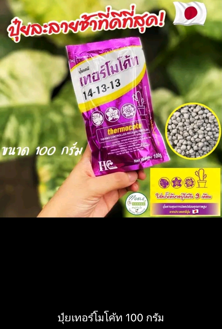 ปุ๋ยละลายช้าที่ดีที่สุด 100 กรัม(รับ8250แต้ม)