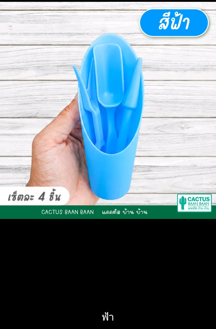 ชุดอุปกรณ์ปลูกแคคตัสและไม้อวบน้ำ สีฟ้า(รับ8250แต้ม)
