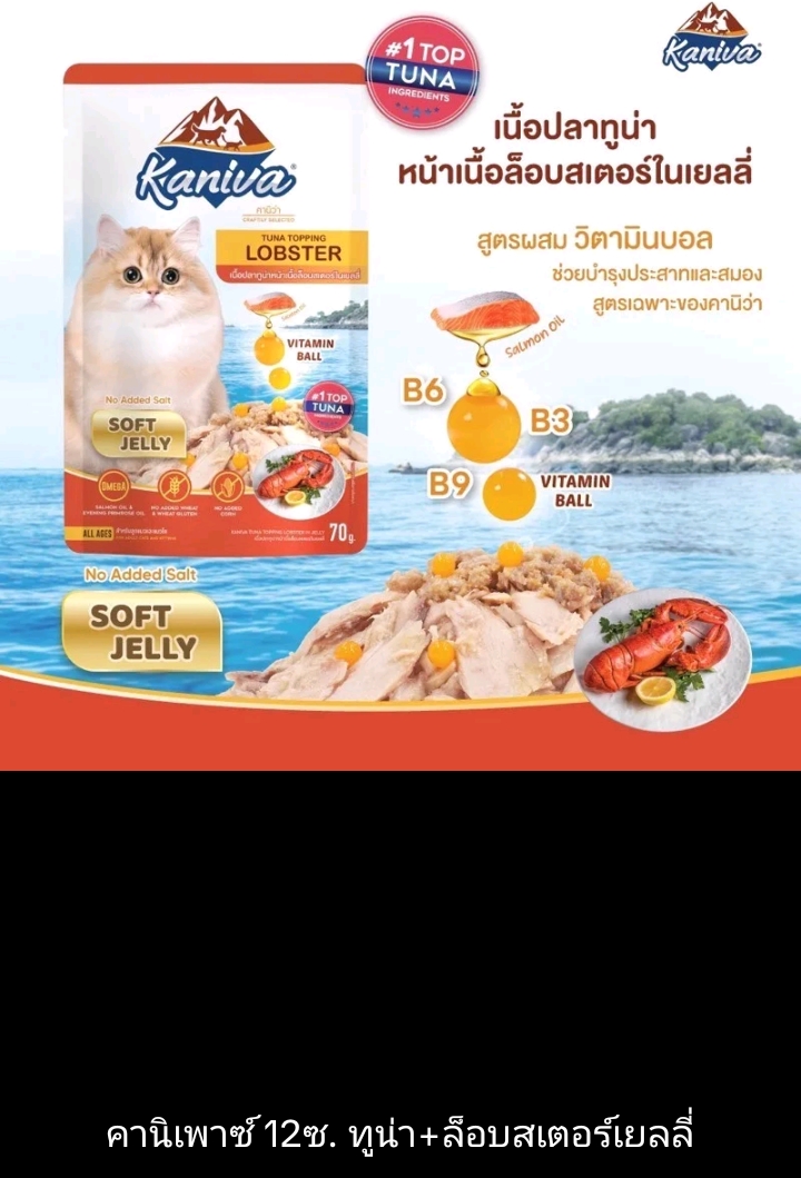 Kaniva cat pouch ยกโหล12ซอง อาหารเปียกสำหรับแมว ขนาด70ก.×12ซอง ทูน่า+ล็อบสเตอร์เยลลี่(รับ19,200แต้ม)