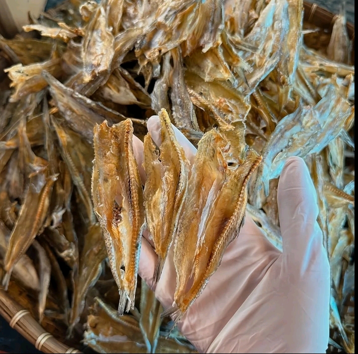 ปลาช่อนทะเลไซส์จิ๋ว เกรดเอแห้งสนิทอร่อยทอดกรอบ500กรัม(16,950แต้ม)