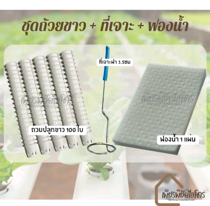 ถ้วยปลูกผักไฮโดรโปนิกส์100ใบ+ที่เจาะ+ฟองน้ำ(รับ8,200แต้ม)