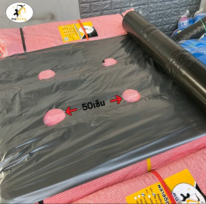 พลาสติกคลุมดินกว้าง 1.2 เมตรยาว 400 หลา เจาะรูคู่ห่าง50ซม.(รับ48250แต้ม)