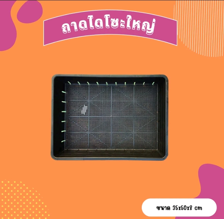 ถาดไดโซะ ถาดปลูกต้นไม้ กล่องอบต้นไม้เร่งรากอบรากเซตพร้อมปลูก ถาดไดโซะกลาง (รับ10200แต้ม)