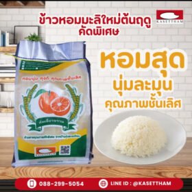 ข้าวหอมมะลิใหม่ต้นฤดู คัดพิเศษ 14 กก. (1ถุง14 kg) ข้าวสารตราส้มเขียว หวาน