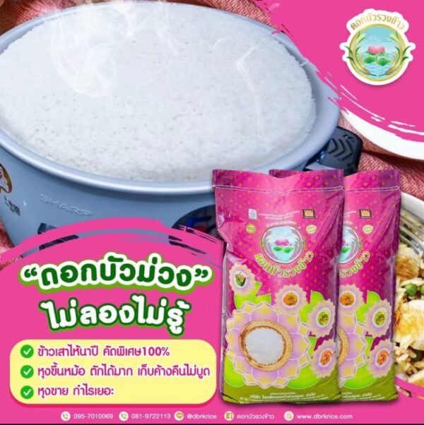 (5 กก.) ข้าวดอกบัวม่วง ข้าวเสาไห้เก่านาปี คัด พิเศษ 100% ตราดอกบัวรวงข้าว - Image 2