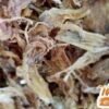 หนวดปลาหมึก 500 กรัม(ครึ่งกิโลกรัม)